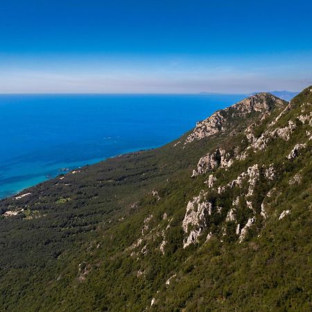 Artemis Prasoudi Beach Halikounas エクステリア 写真